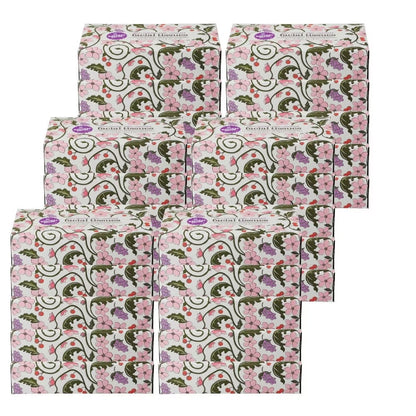 Natural Value 2-Ply Facial Tissue - 100 Count Pack, 30-Pack Case