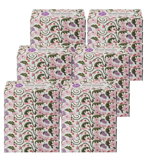 Natural Value 2-Ply Facial Tissue - 100 Count Pack, 30-Pack Case