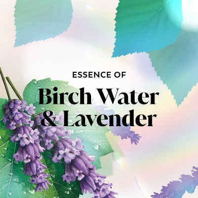 Olay Fresh Outlast Body Wash Birch Water & Lavender 33 fl oz - New