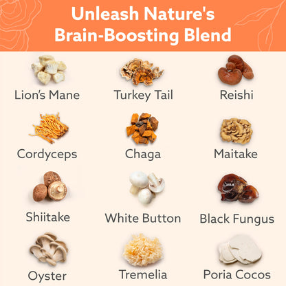 Multi-Mushroom Supplement