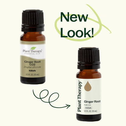Ginger Root CO2 Extract