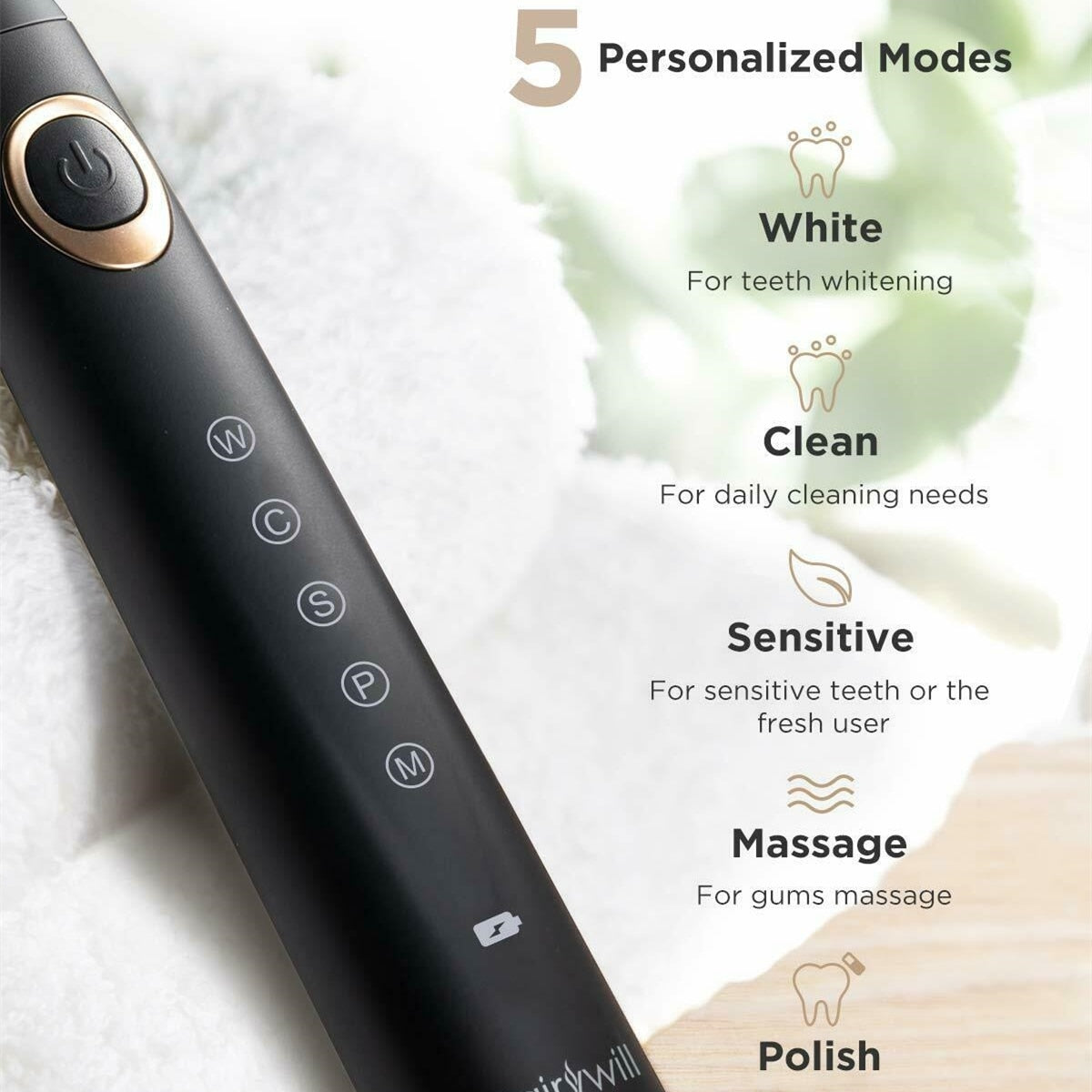 Fairywill Electric Toothbrushes for Adults Kids 5 Modes Smart Timer Rechargeable Whitening Sonic Toothbrush with 10 Brush Heads