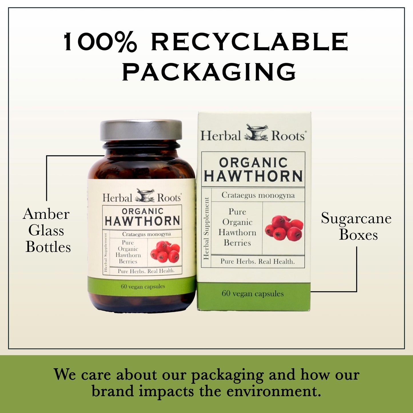 Organic Hawthorn Berry