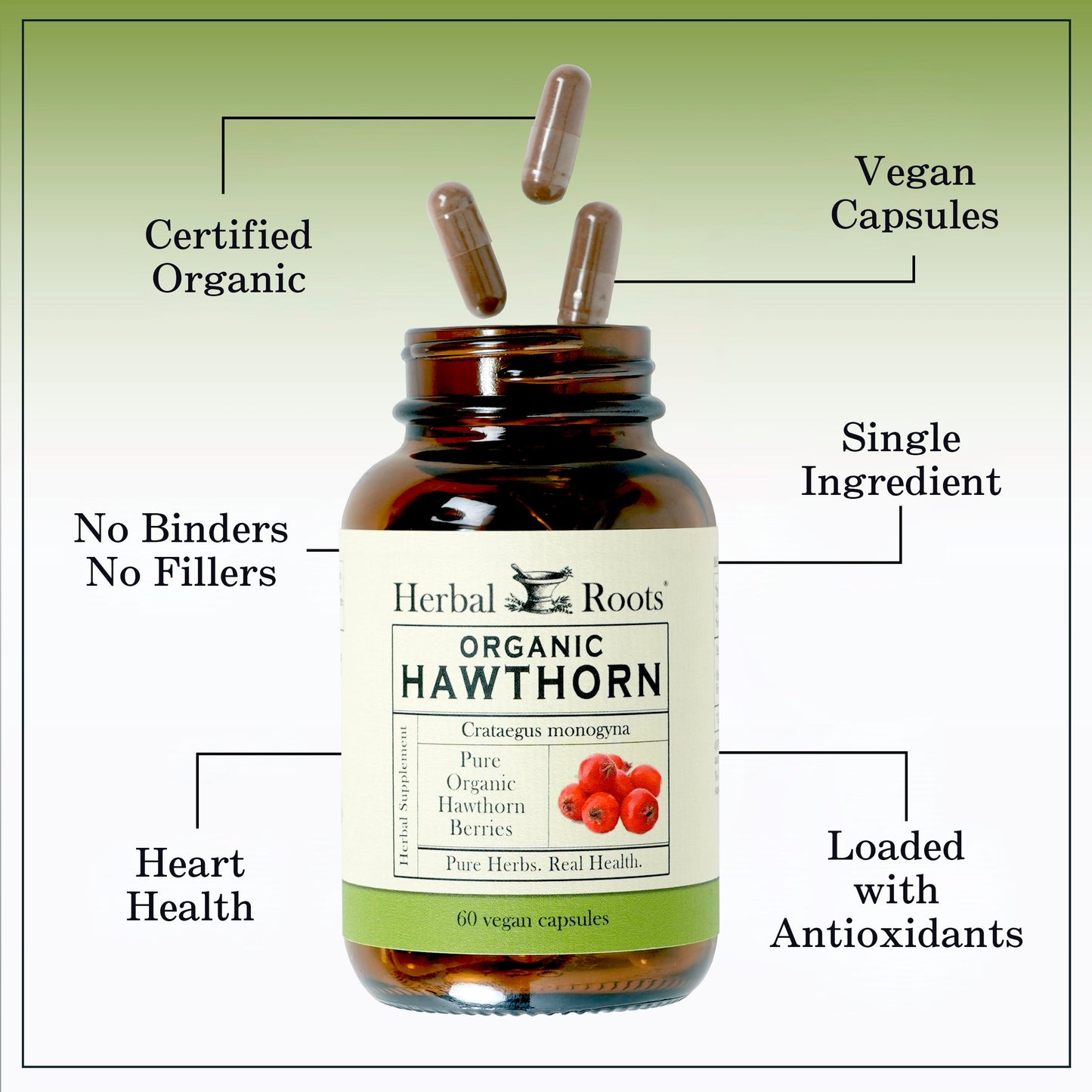 Organic Hawthorn Berry
