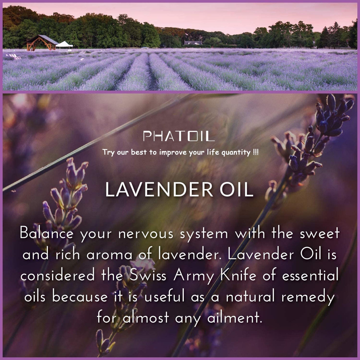 3.38Oz 100ml Lavender Essential Oil Diffuser Pure Natural Plant Essential Oils Vanilla Mint Lemon Tea Tree Citronella Aroma