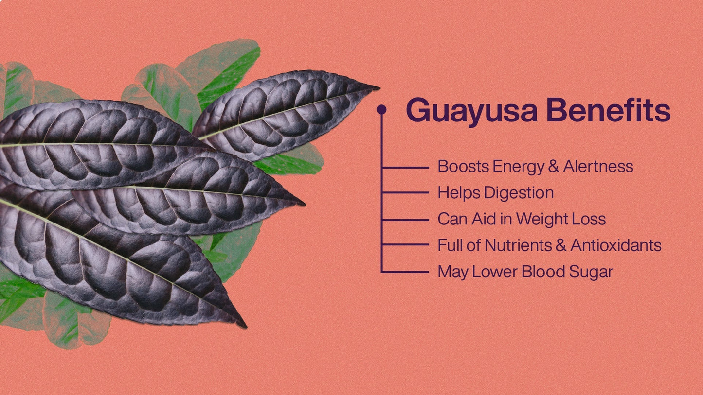 Guayusa Tea | 7oz | 50g