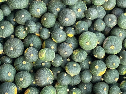 KABOCHA Squash | Suzuki Farm | 1 pc