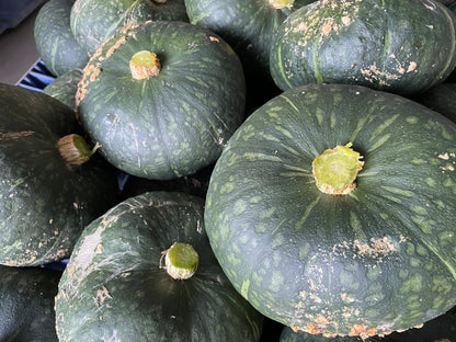 KABOCHA Squash | Suzuki Farm | 1 pc
