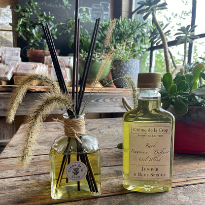 Reed Fragrance - Diffuser, Starter Kit - Juniper & Blue Spruce