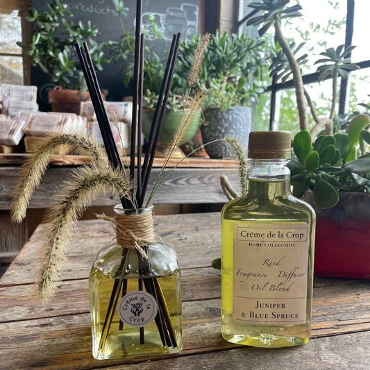 Reed Fragrance - Diffuser, Starter Kit - Juniper & Blue Spruce