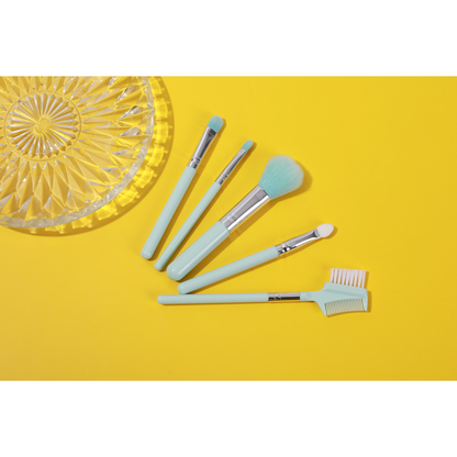 Makeup Brush: 5PCS Set