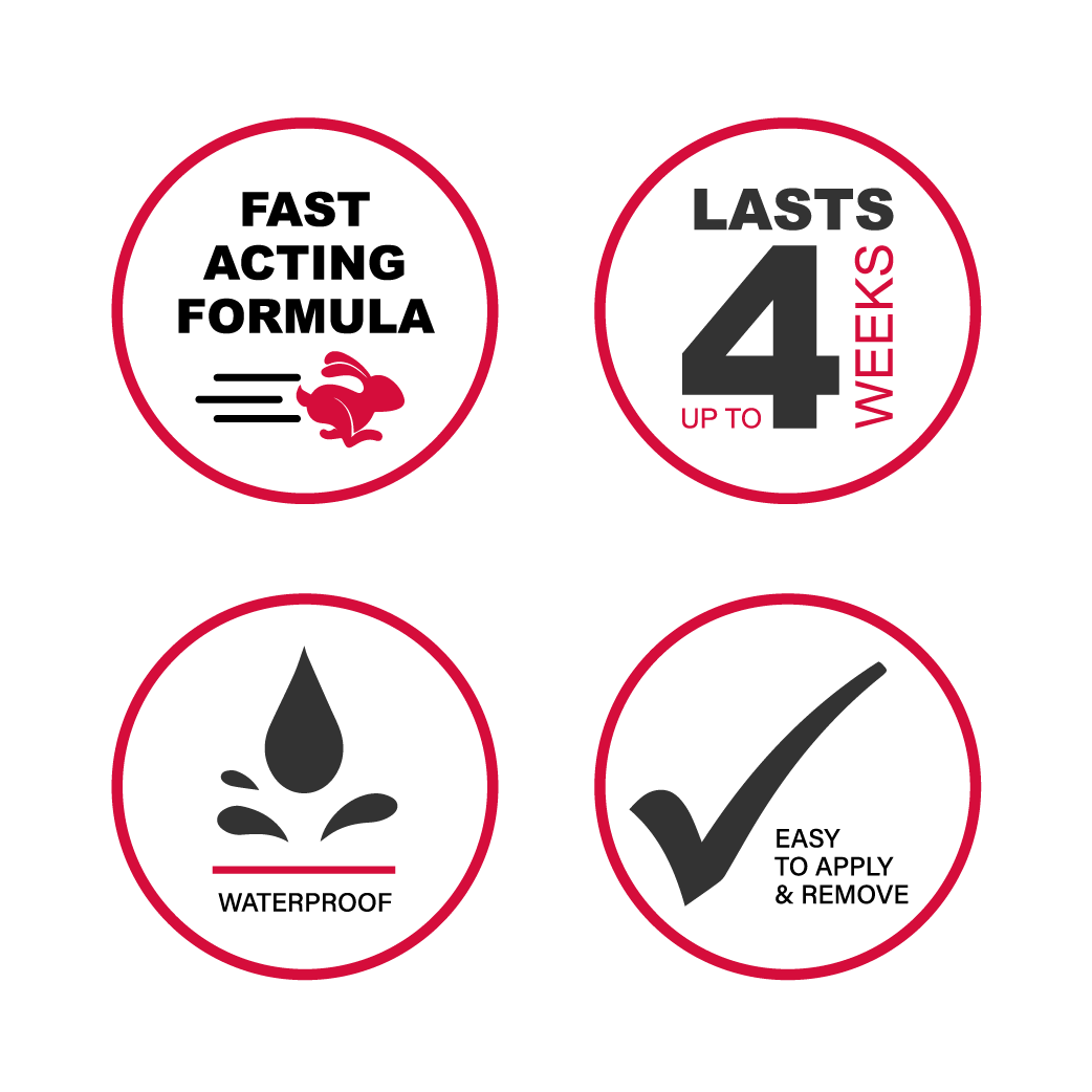 JUST FOR BROWS | EYEBROW COLORING