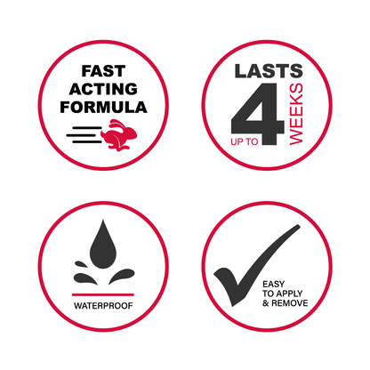 JUST FOR BROWS | EYEBROW COLORING