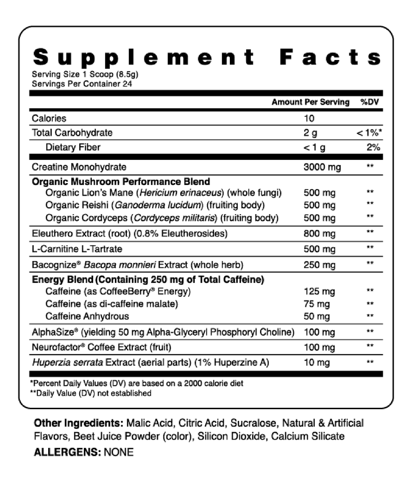 Kinetic™ - Mushroom Enhanced Pre-Workout