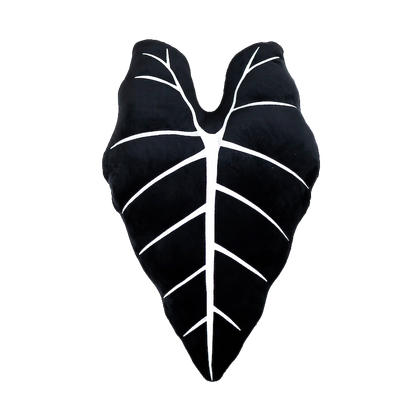 Alocasia Frydek - Obsidian