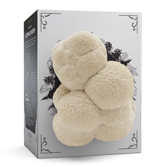 Organic Lion's Mane Mushroom Grow Kit
