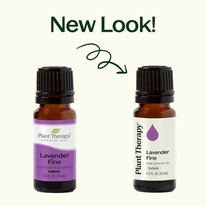 Lavender Fine Essential Oil