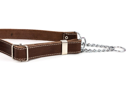 Martingale Leather Dog Collar