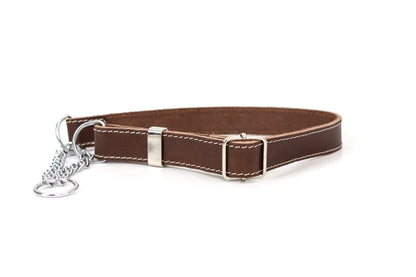 Martingale Leather Dog Collar