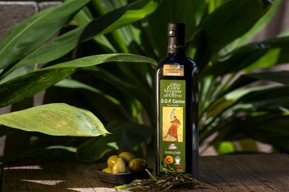 DOP Canino Organic Extra Virgin Olive Oil  500 ml (16.9 fl oz) Taycte