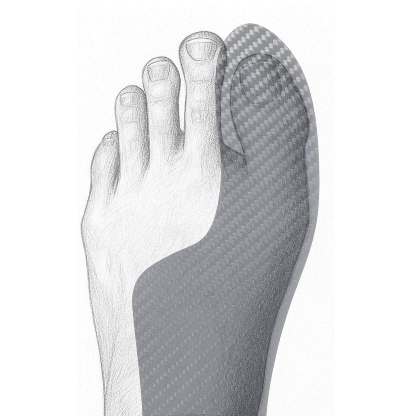 Morton's Extension Orthotic (1.3mm)