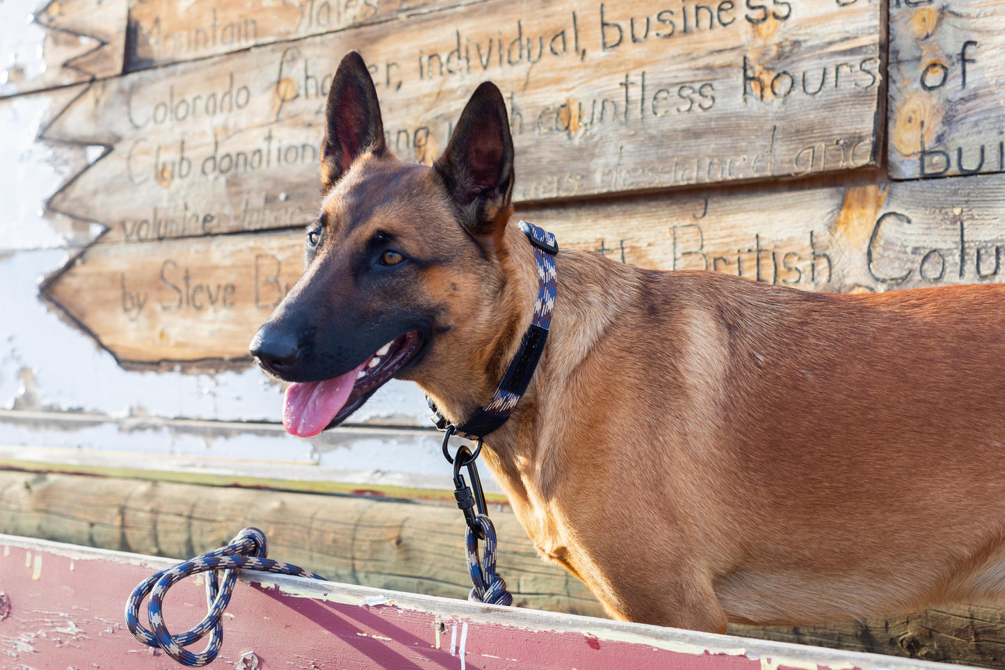 Climbing Rope Dog Collar