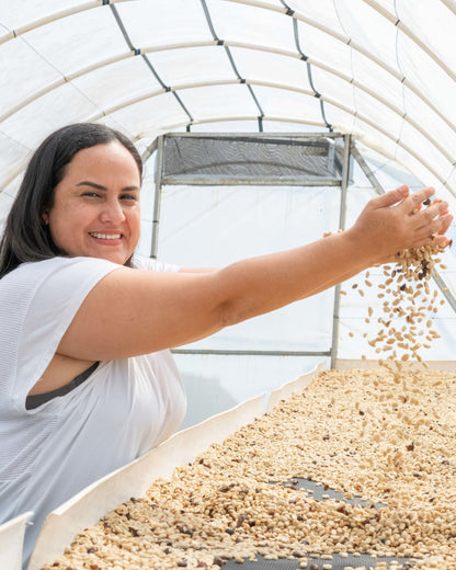 Honduran Parainema Coffee - 2-Pack