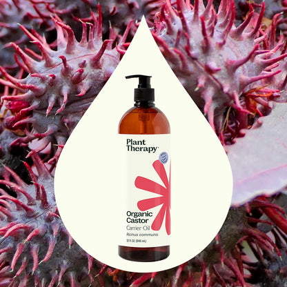 Organic Castor Carrier Oil