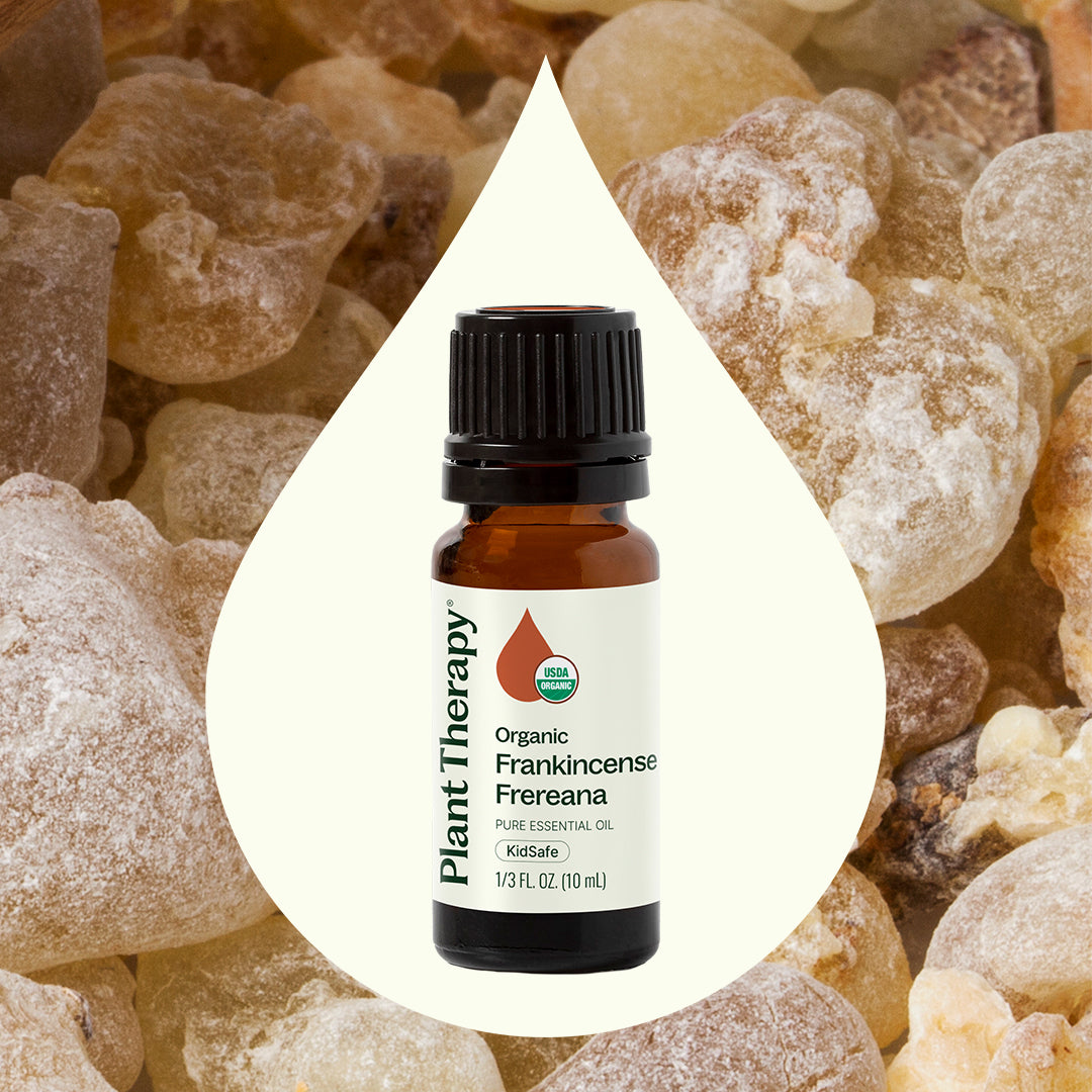 Organic Frankincense Frereana Essential Oil