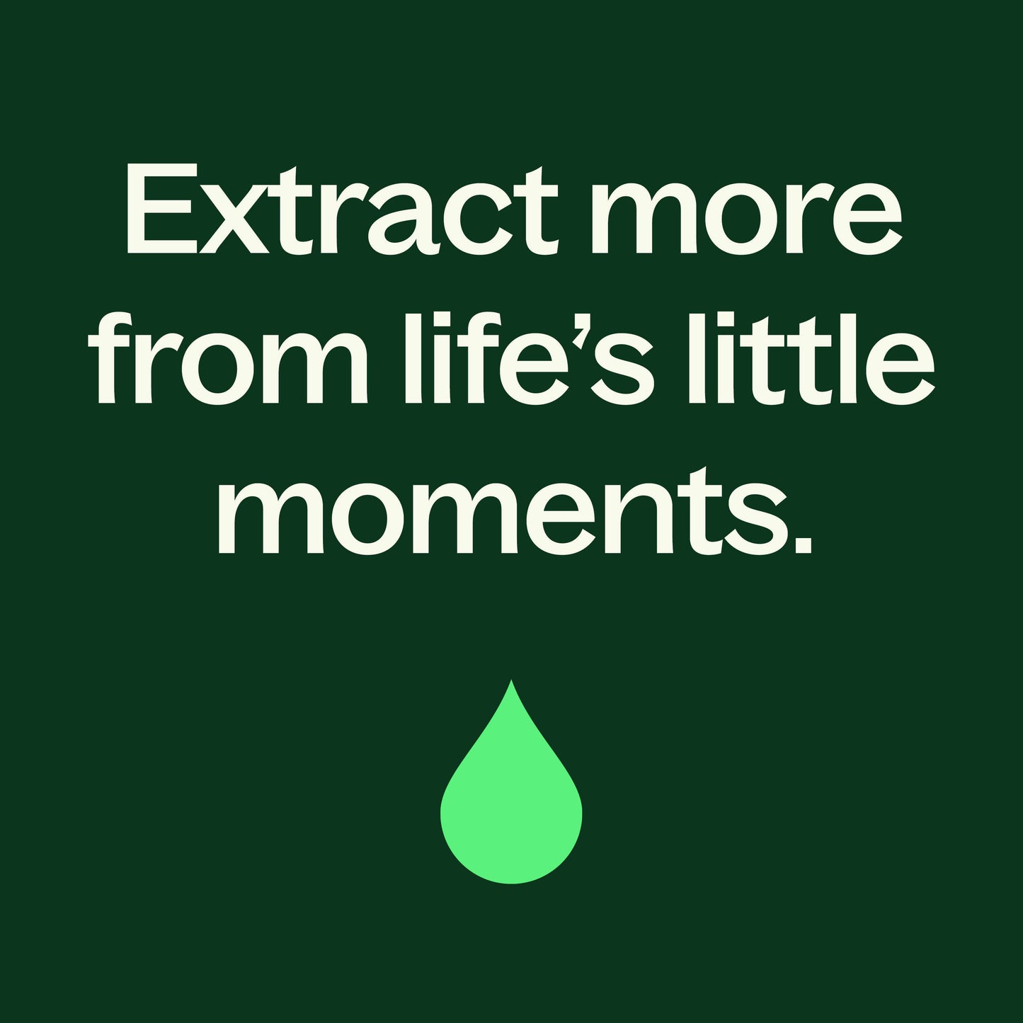 Organic Lemon Basil Essential Oil Blend