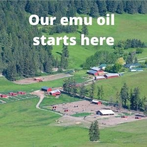 EMU JOY PURE EMU OIL – Natural Elegance and Organic Healing REDEFINED!