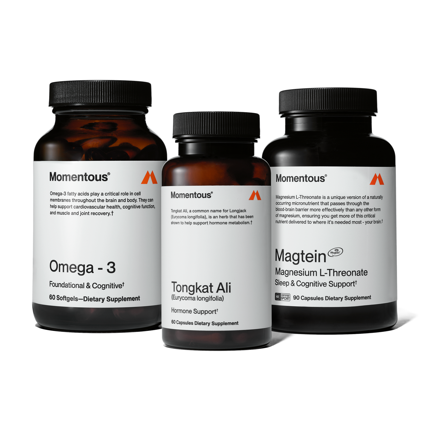 Brain, Body, and Sleep Stack