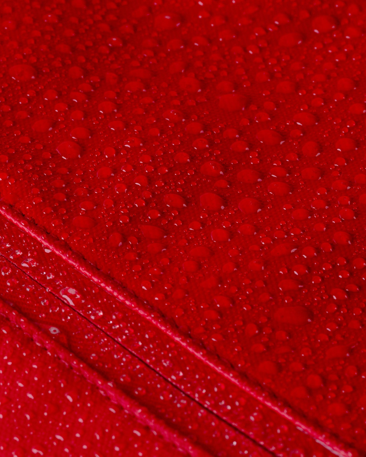 Cascade Backpack - Standard