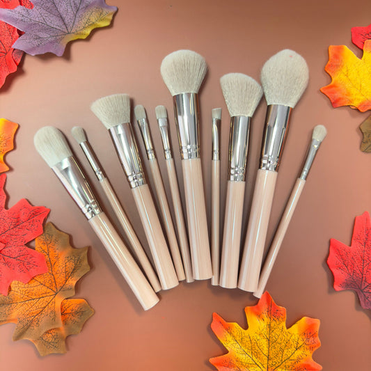 Makeup Brush Set - 10 Piece Makeup Brush Collection