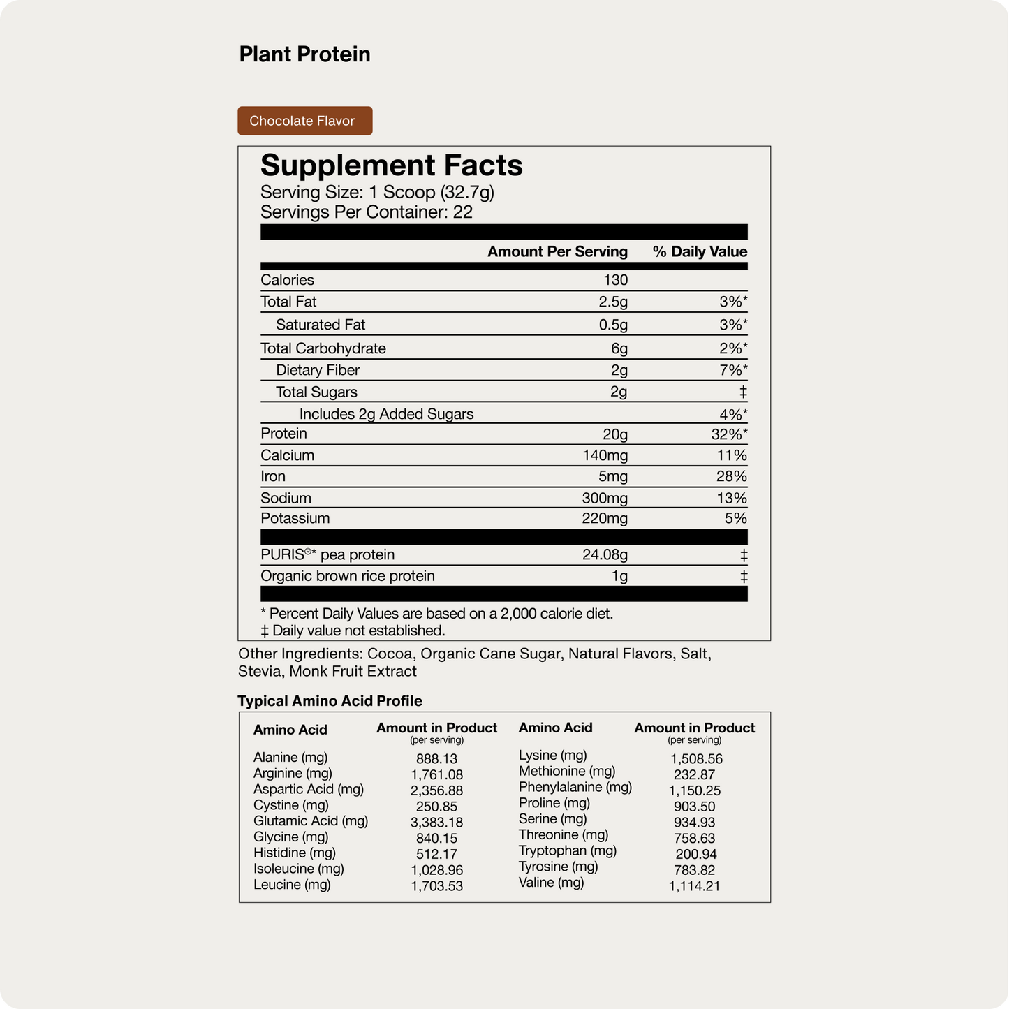 100% Plant Protein Powder