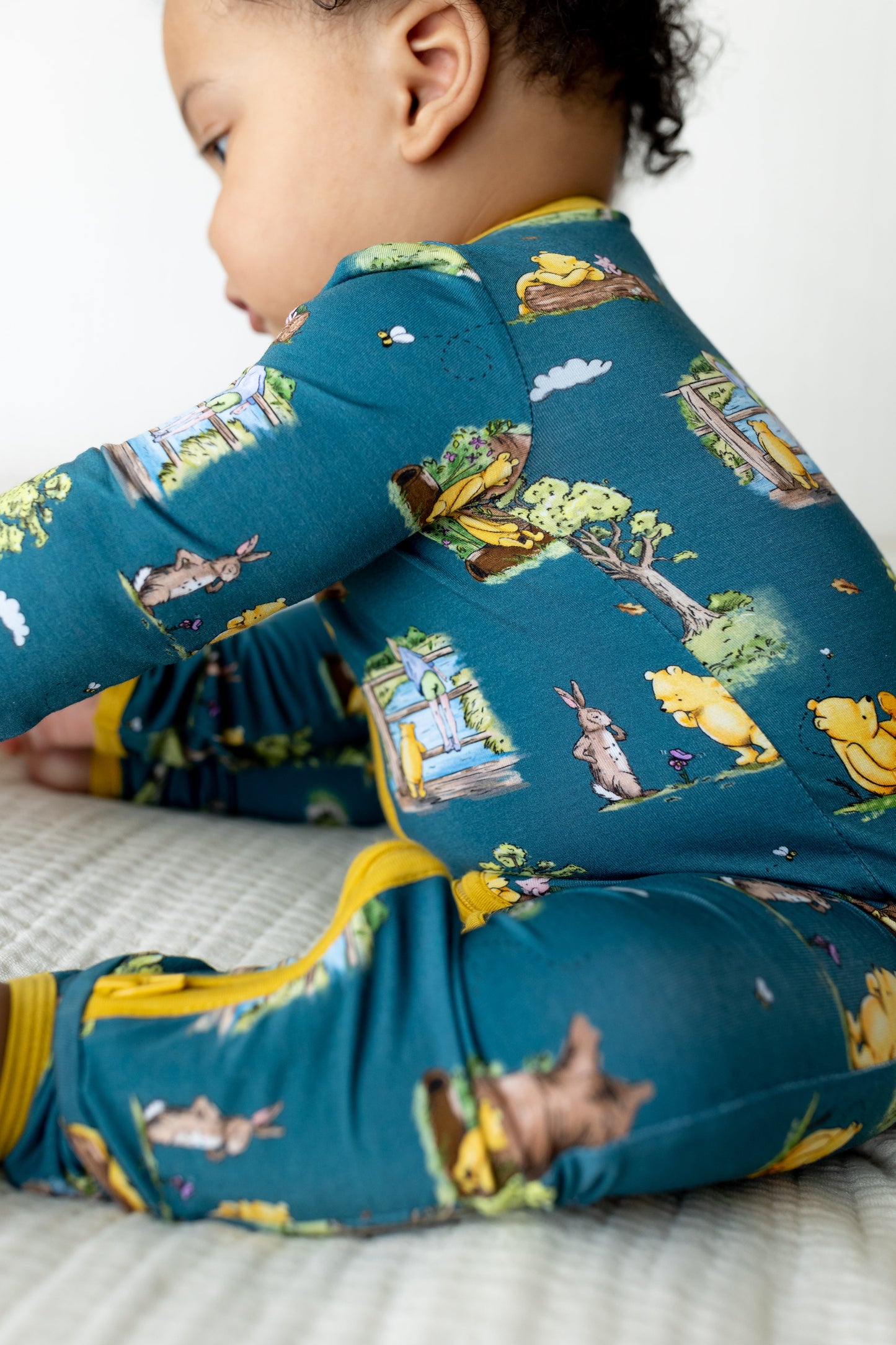 Hundred Acre Woods Convertible Zippy