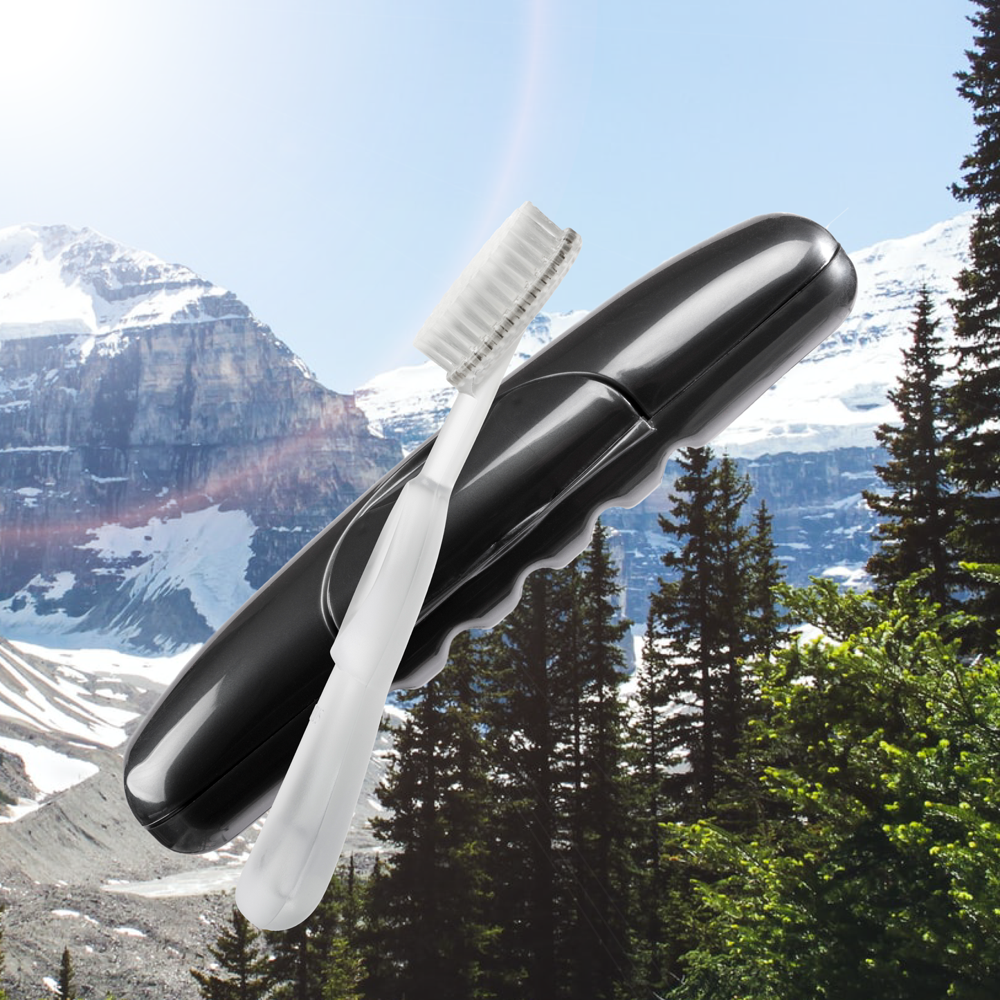 Original Toothbrush in Free Travel Case