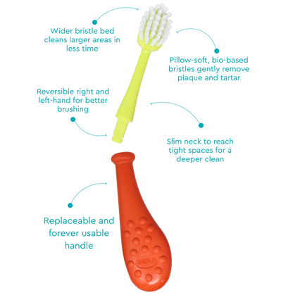 Big Kidz® Replaceable Head Forever Brush® (6yrs+)