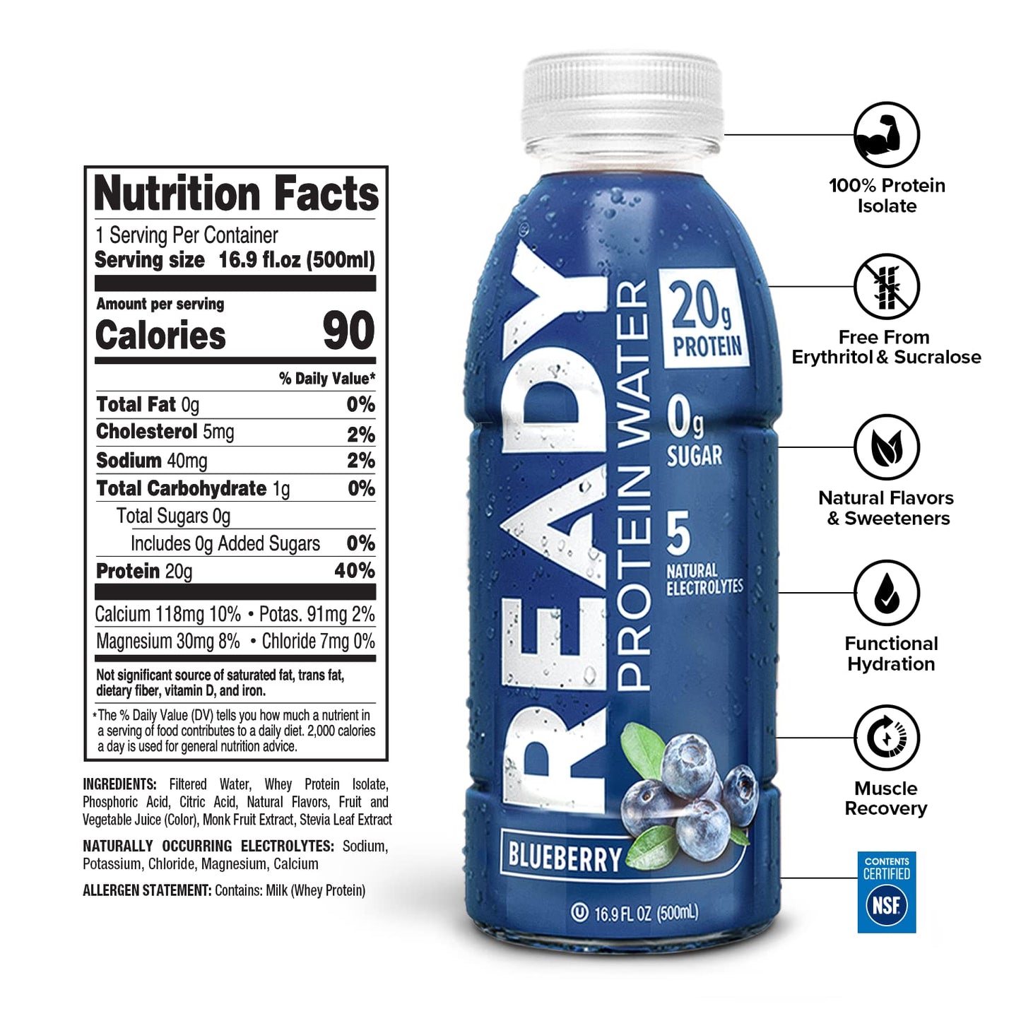 Ready Water Protein Blueberry - 20g Protein, Sugar-Free, Gluten-Free Hydration | Case of 12 (16.9 fl oz Each)