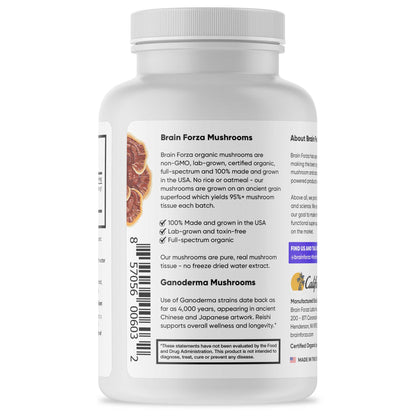 Organic Red Reishi Mushroom, 90 Capsules