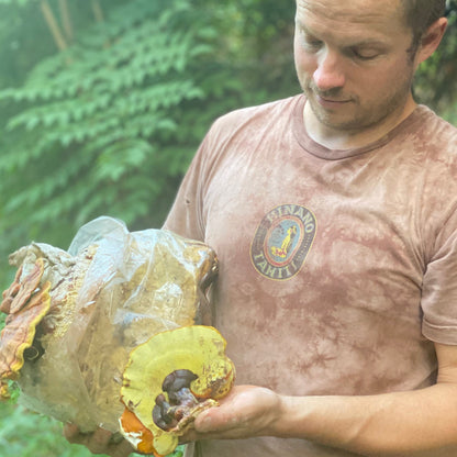 Lion's Mane + Reishi Dual Extract Tincture
