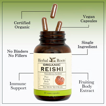 Organic Reishi Mushroom