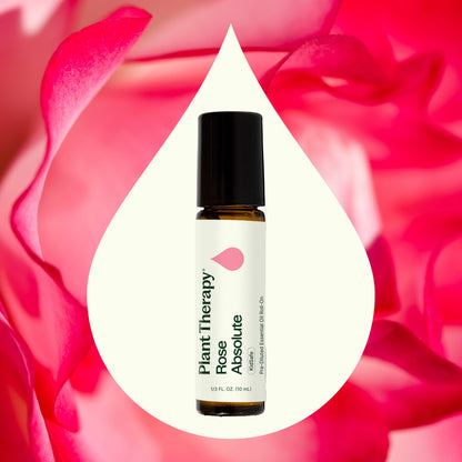 Rose Absolute Pre-Diluted Roll-On