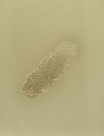 Bay Rum Beard & Body Butter for Men | Natural Tallow Moisturizer