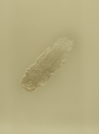 Natural Beard Butter for Men Tobacco Vanilla | All-Natural Beard & Skin Care