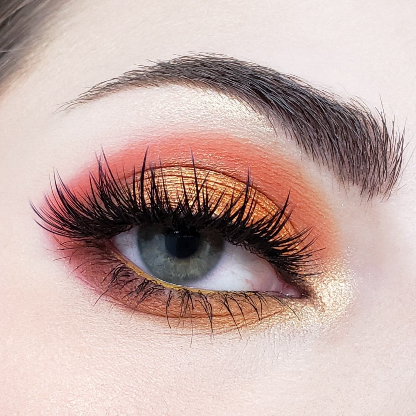 10 Color Temptation Eyeshadow Collection SN10