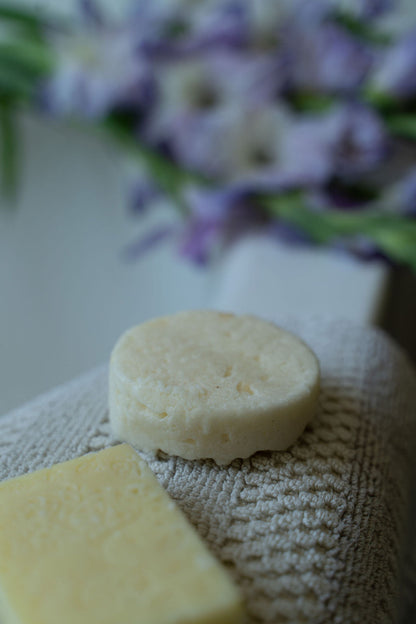 Shampoo and Conditioner Bar Set