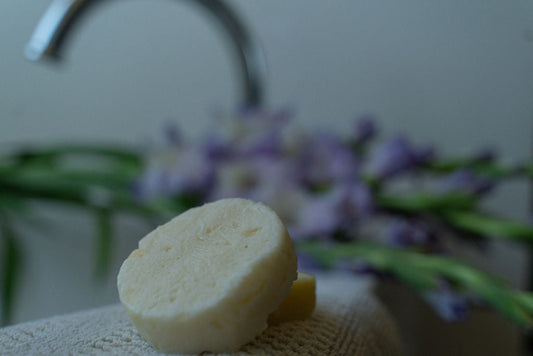 Shampoo and Conditioner Bar Set