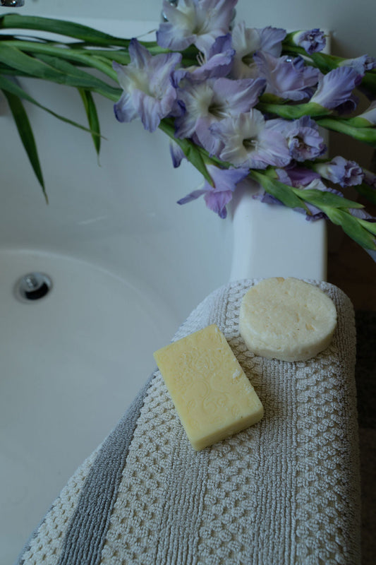 Shampoo and Conditioner Bar Set