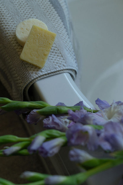 Shampoo and Conditioner Bar Set